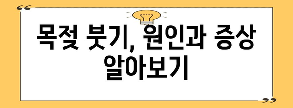 목젖 부은 문제 해결 | 꿀팁과 가정 요법