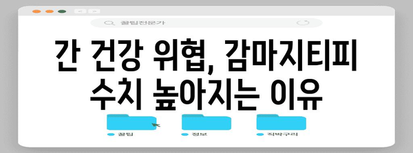 간 건강 지키기 | 감마지티피 수치 정상화 가이드