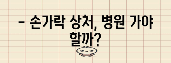 손가락 심각한 상처 | 병원 방문 판단 기준