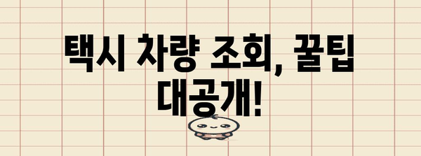 티머니 택시 분실물 찾기 성공 가이드 | 차량 조회 팁