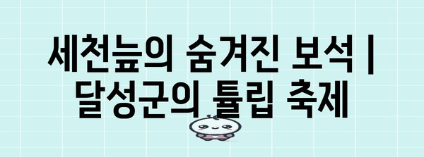 세천늪의 숨겨진 보석 | 달성군의 튤립 축제