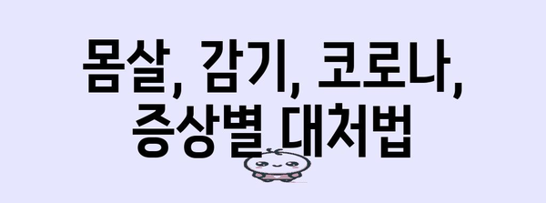 코로나 vs 감기 | 몸살 증상 비교 및 자가 진단 팁