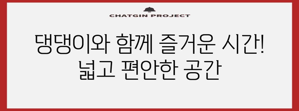 대전 반려견 동반 대형 카페 | 편안한 공간에서 보내는 즐거운 시간