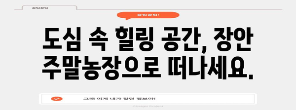 장안 주말농장 매매 가이드 | 쉼터를 위한 완벽한 선택