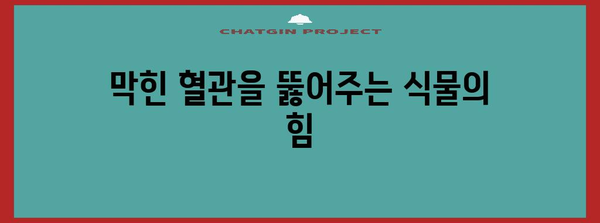 순환 개선의 비밀 무기 | 천연 식물성 영양제 탐구