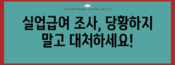 실업급여 부정 수급 대응 가이드 | 조사 대응부터 이의 신청까지