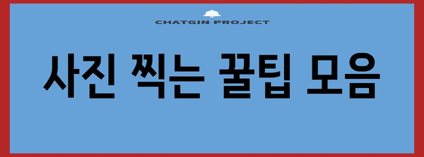 사진 찍는 꿀팁 모음