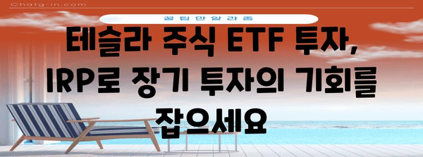 퇴직연금 IRP에 테슬라 주식 ETF 투자 | 현명한 계획
