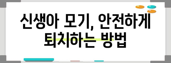 신생아 모기 퇴치 | 천연 기피제와 안전한 대책