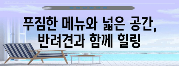 대전 반려견 동반 대형 카페 | 편안한 공간에서 보내는 즐거운 시간
