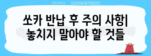 쏘카 반납 완벽 가이드 | 지연과 조기 대비 팁