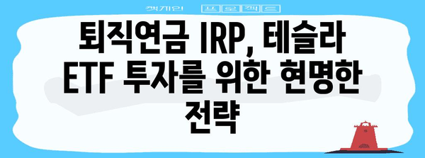 퇴직연금 IRP에 테슬라 주식 ETF 투자 | 현명한 계획