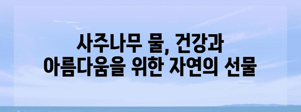 사주나무물의 비밀 | 건강과 미용을 위한 자연의 선물