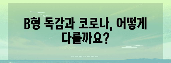 B형 독감 vs 코로나 | 증상 비교와 구분법
