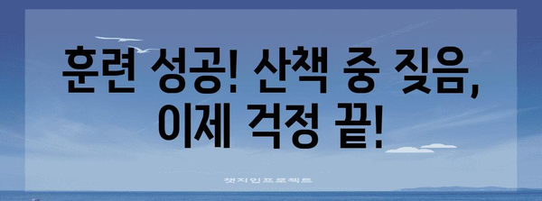 강아지 짖음 해결책! 산책훈련 후기 공개