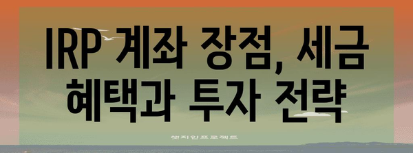 IRP 계좌 | 노후준비를 위한 안전 자산 보장 가이드