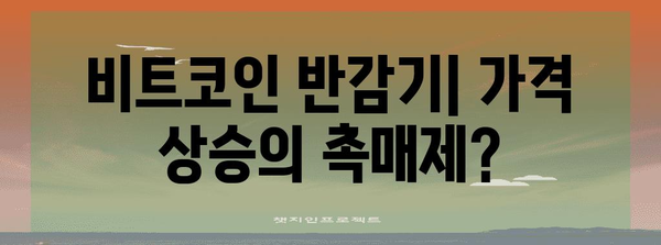 비트코인 반감기의 향방 | 상승 전망과 전략적 투자