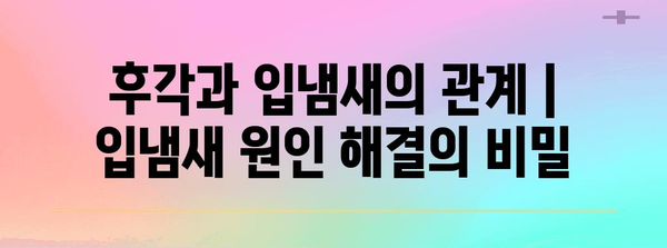 후각과 입냄새의 관계 | 입냄새 원인 해결의 비밀