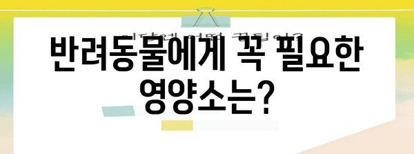 반려동물 사료 선택의 바이블 | 영양소 분석과 완벽 해독법