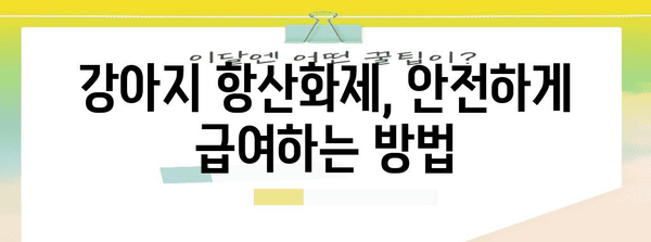 강아지 면역력 업! 항산화제로 건강하게 키우기