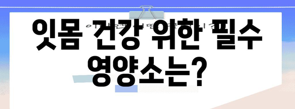 잇몸 건강 관리 영양학 | 잇몸 내려앉음 영양제 대응법