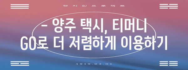 티머니 GO로 양주 택시 혜택 활용법 | 기본료 무료 꿀팁