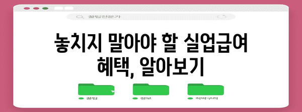 고용보험 혜택 놓치지 마세요 | 실업급여 완벽 신청 가이드