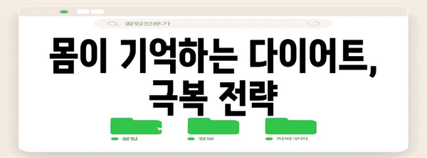 요요 다이어트와 실패의 과학 | 원인 파악과 성공 전략