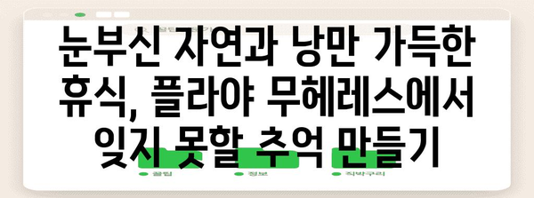 칸쿤 신혼여행에서 빼놓을 수 없는 시크릿 플라야 무헤레스