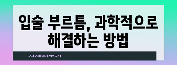 입술 부르틈 해결을 위한 입증된 사례와 성공담