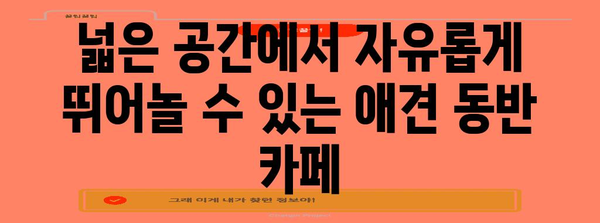 전포동에서 애견 동반 즐기기 | 추천 카페 베스트 5