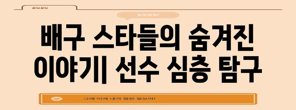 배구 해설의 세계 | 경기 분석과 선수 심층 탐구