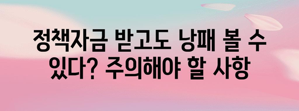 정부정책자금 함정 | 신청 시 주의 요항 총정리
