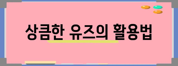 츠루우메 유즈 하이볼 맛집 추천 | 상큼하게 즐기는 한잔