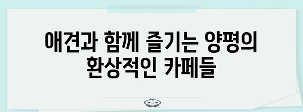 양평의 꿈 같은 뷰와 애견 동반 카페 5선