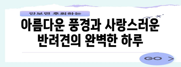 양평의 꿈 같은 뷰와 애견 동반 카페 5선