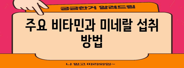 임산부 건강 | 필수 영양소 가이드와 균형 잡힌 식단