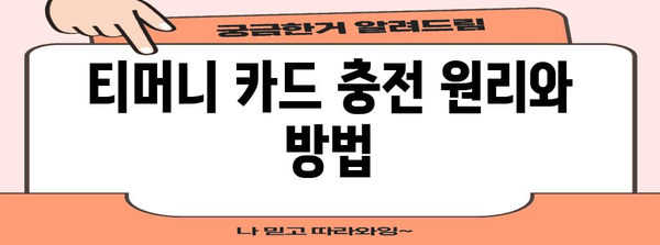 티머니 카드&페이 | 교통카드와 결합된 모바일 결제 가이드