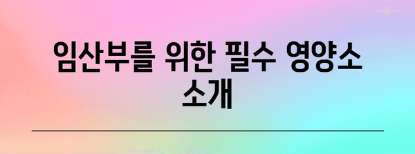 임산부 건강 | 필수 영양소 가이드와 균형 잡힌 식단