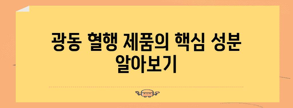 건강한 혈관을 위한 광동 혈행 관리법