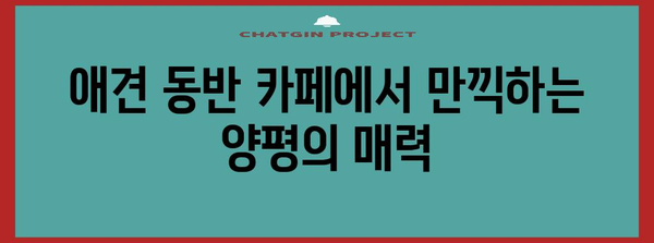 양평의 꿈 같은 뷰와 애견 동반 카페 5선