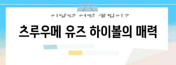츠루우메 유즈 하이볼 맛집 추천 | 상큼하게 즐기는 한잔