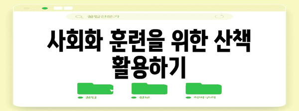 강아지 산책 안내서 | 안전과 즐거움을 위한 필수 팁