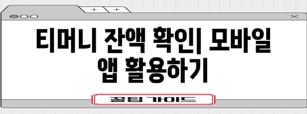 티머니 잔액 확인 간편 가이드 | 실시간 방법