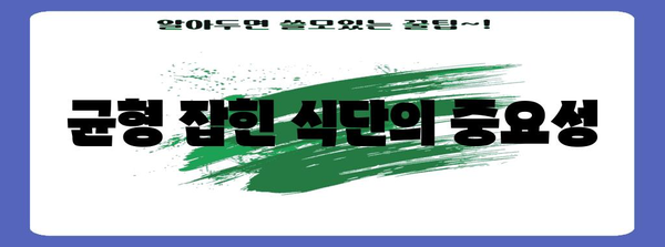임산부 건강 | 필수 영양소 가이드와 균형 잡힌 식단