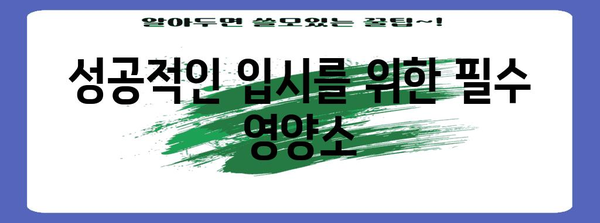입시리얼 가이드 | 성공을 향한 영양과 집중력 향상