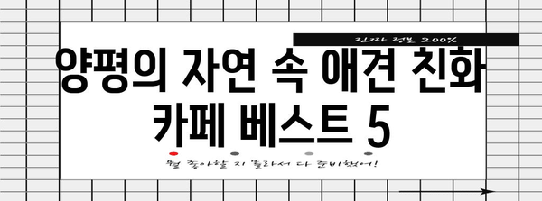양평의 꿈 같은 뷰와 애견 동반 카페 5선