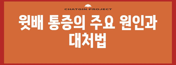 복통 위치로 알아보는 통증 원인과 완화법 | 윗배, 아랫배