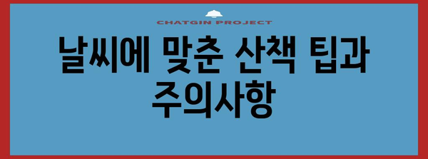 강아지 산책 안내서 | 안전과 즐거움을 위한 필수 팁