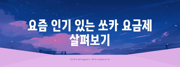 쏘카 요금 분석 가이드 | 요금 계산, 비교, 할인 팁